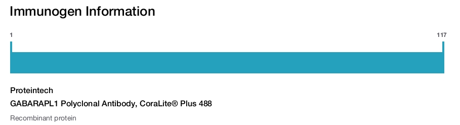 GABARAPL1 Polyclonal Antibody, CoraLite&reg; Plus 488