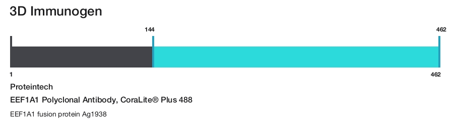 EEF1A1 Polyclonal Antibody, CoraLite&reg; Plus 488