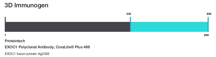 EXOC1 Polyclonal Antibody, CoraLite&reg; Plus 488