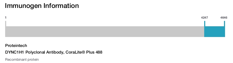 DYNC1H1 Polyclonal Antibody, CoraLite&reg; Plus 488