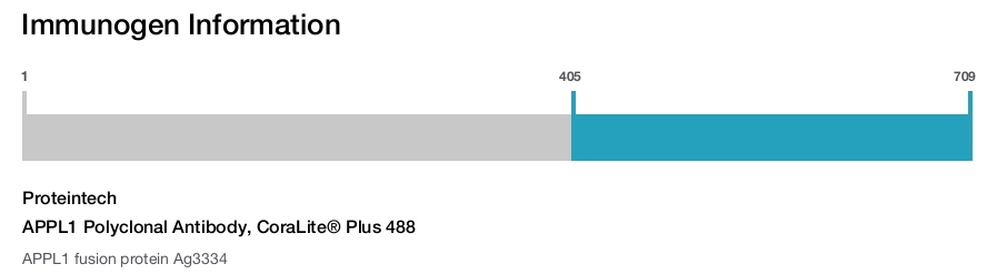 APPL1 Polyclonal Antibody, CoraLite&reg; Plus 488