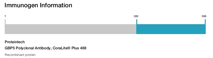 GBP5 Polyclonal Antibody, CoraLite&reg; Plus 488