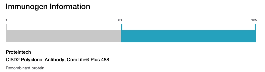 CISD2 Polyclonal Antibody, CoraLite&reg; Plus 488