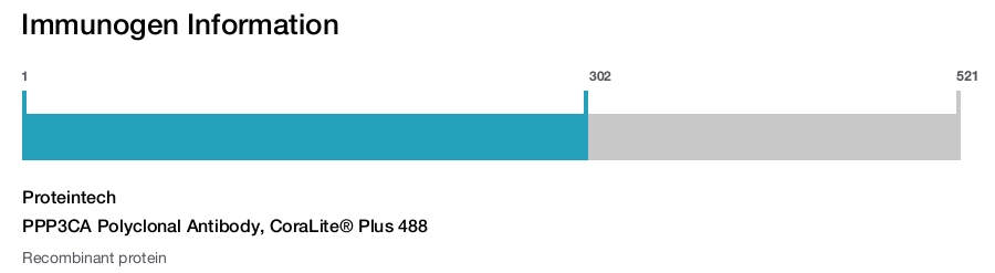 PPP3CA Polyclonal Antibody, CoraLite&reg; Plus 488