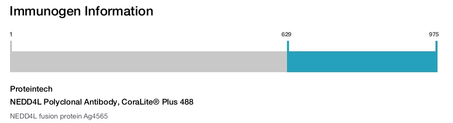 NEDD4L Polyclonal Antibody, CoraLite&reg; Plus 488