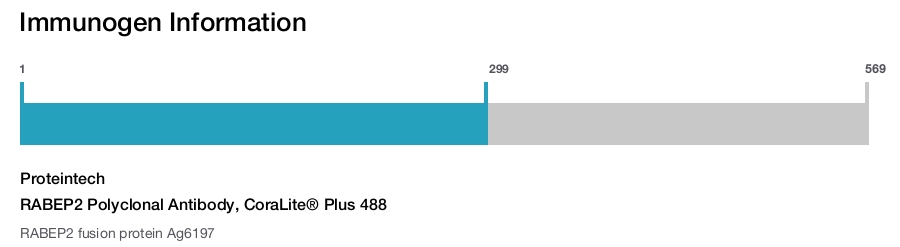 RABEP2 Polyclonal Antibody, CoraLite&reg; Plus 488