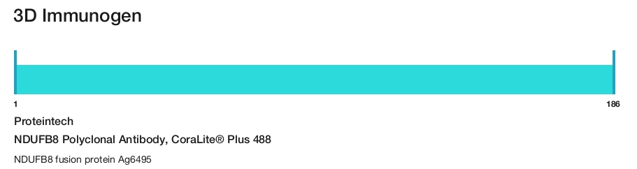 NDUFB8 Polyclonal Antibody, CoraLite&reg; Plus 488