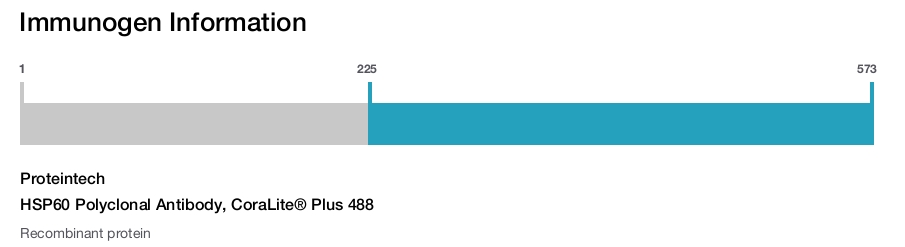 HSP60 Polyclonal Antibody, CoraLite&reg; Plus 488