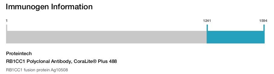 RB1CC1 Polyclonal Antibody, CoraLite&reg; Plus 488