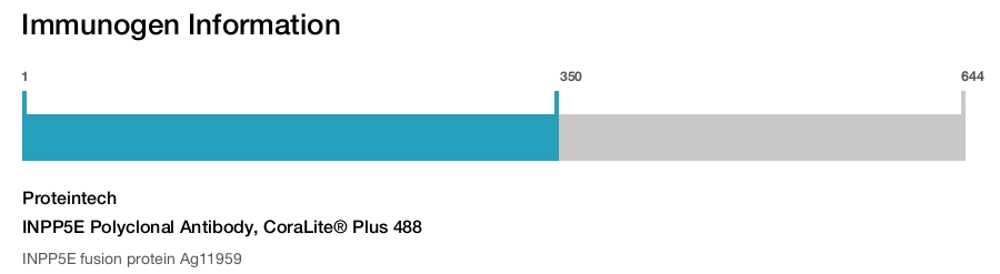 INPP5E Polyclonal Antibody, CoraLite&reg; Plus 488
