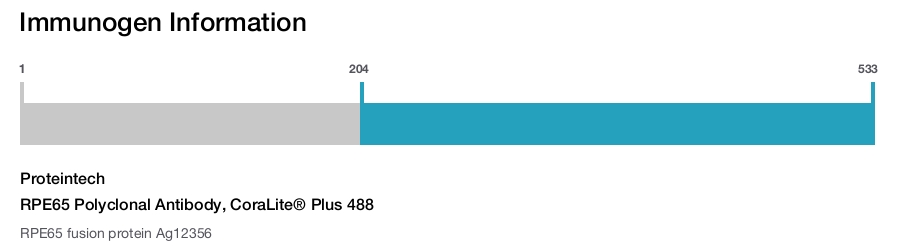 RPE65 Polyclonal Antibody, CoraLite&reg; Plus 488