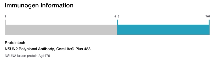 NSUN2 Polyclonal Antibody, CoraLite&reg; Plus 488