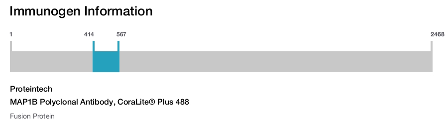MAP1B Polyclonal Antibody, CoraLite&reg; Plus 488