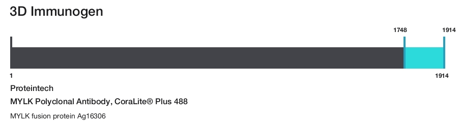 MYLK Polyclonal Antibody, CoraLite&reg; Plus 488