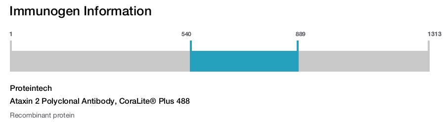 Ataxin 2 Polyclonal Antibody, CoraLite&reg; Plus 488