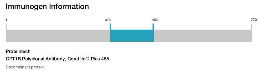 CPT1B Polyclonal Antibody, CoraLite&reg; Plus 488
