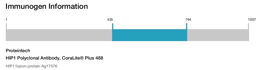 HIP1 Polyclonal Antibody, CoraLite&reg; Plus 488