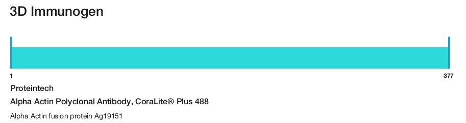 Alpha Actin Polyclonal Antibody, CoraLite&reg; Plus 488