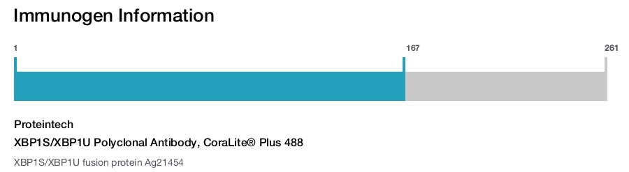 XBP1S/XBP1U Polyclonal Antibody, CoraLite&reg; Plus 488