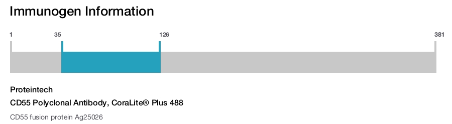 CD55 Polyclonal Antibody, CoraLite&reg; Plus 488