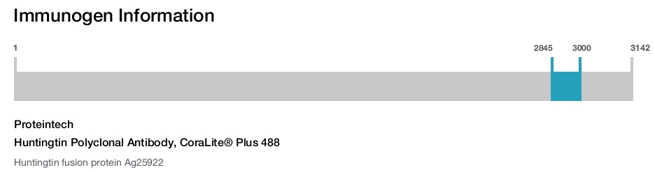 Huntingtin Polyclonal Antibody, CoraLite&reg; Plus 488