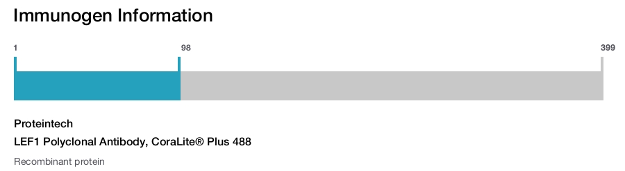 LEF1 Polyclonal Antibody, CoraLite&reg; Plus 488