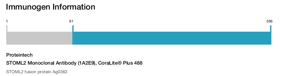 STOML2 Monoclonal Antibody (1A2E9), CoraLite&reg; Plus 488