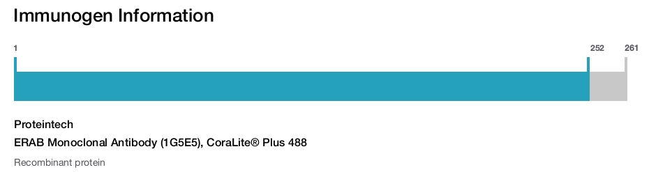 ERAB Monoclonal Antibody (1G5E5), CoraLite&reg; Plus 488