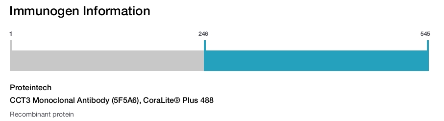 CCT3 Monoclonal Antibody (5F5A6), CoraLite® Plus 488