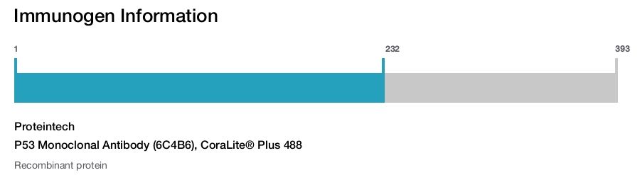 P53 Monoclonal Antibody (6C4B6), CoraLite&reg; Plus 488