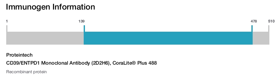 CD39/ENTPD1 Monoclonal Antibody (2D2H6), CoraLite&reg; Plus 488