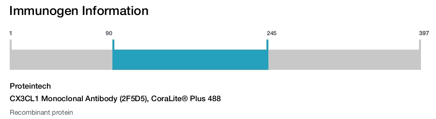 CX3CL1 Monoclonal Antibody (2F5D5), CoraLite® Plus 488