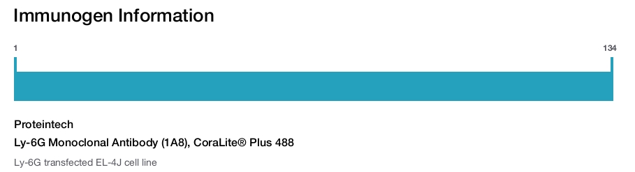 Ly-6G Monoclonal Antibody (1A8), CoraLite&reg; Plus 488