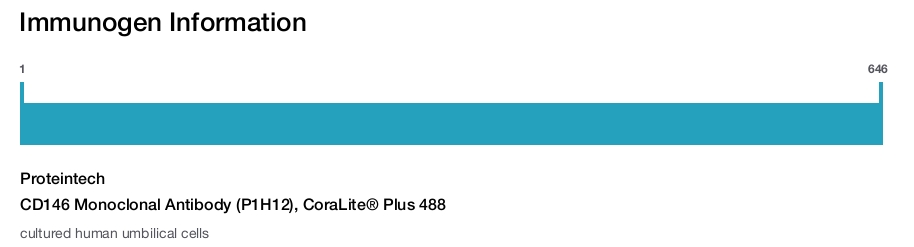 CD146 Monoclonal Antibody (P1H12), CoraLite&reg; Plus 488
