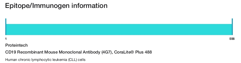 CD19 Recombinant Mouse Monoclonal Antibody (4G7), CoraLite&reg; Plus 488
