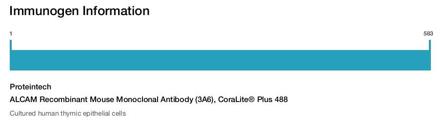 ALCAM Recombinant Mouse Monoclonal Antibody (3A6), CoraLite&reg; Plus 488