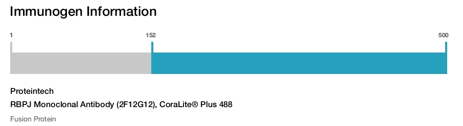 RBPJ Monoclonal Antibody (2F12G12), CoraLite&reg; Plus 488