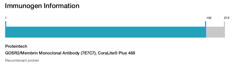GOSR2/Membrin Monoclonal Antibody (7E7C7), CoraLite&reg; Plus 488