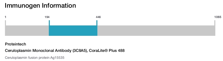 Ceruloplasmin Monoclonal Antibody (3C8A5), CoraLite&reg; Plus 488