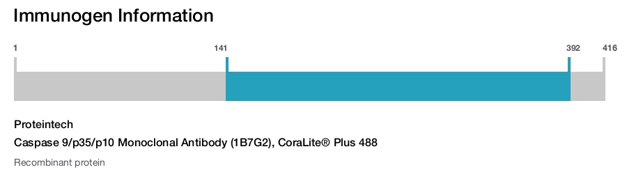 Caspase 9/p35/p10 Monoclonal Antibody (1B7G2), CoraLite&reg; Plus 488
