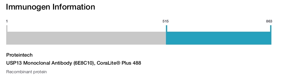 USP13 Monoclonal Antibody (6E8C10), CoraLite&reg; Plus 488
