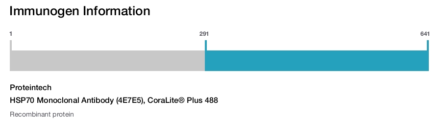 HSP70 Monoclonal Antibody (4E7E5), CoraLite&reg; Plus 488