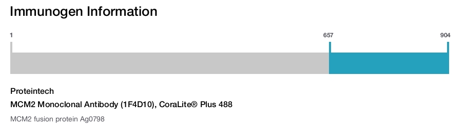 MCM2 Monoclonal Antibody (1F4D10), CoraLite® Plus 488