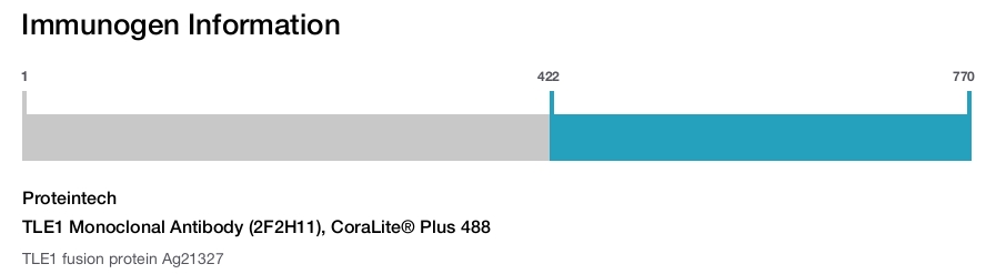 TLE1 Monoclonal Antibody (2F2H11), CoraLite&reg; Plus 488