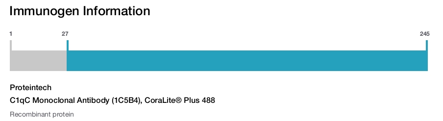C1qC Monoclonal Antibody (1C5B4), CoraLite&reg; Plus 488