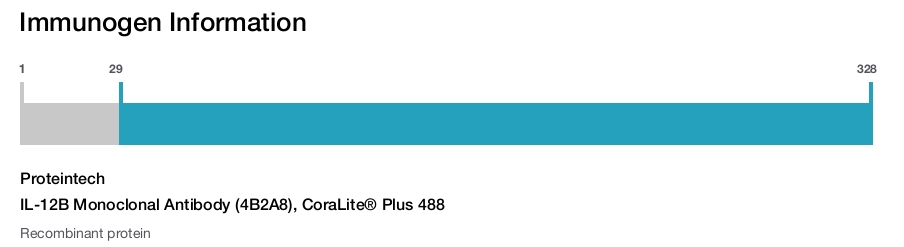 IL-12B Monoclonal Antibody (4B2A8), CoraLite&reg; Plus 488