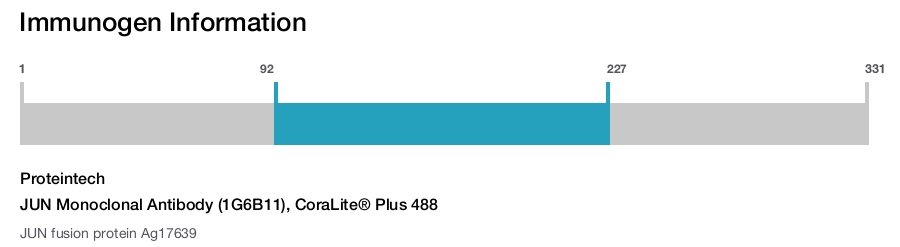 JUN Monoclonal Antibody (1G6B11), CoraLite&reg; Plus 488
