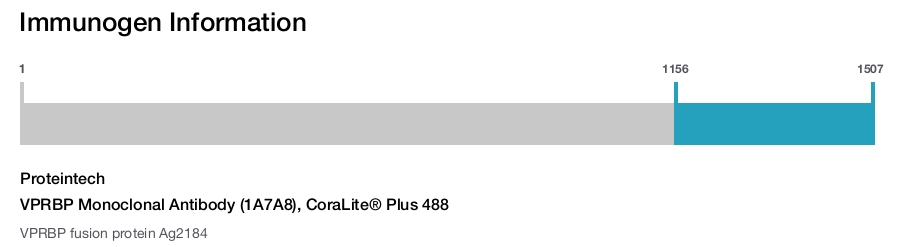 VPRBP Monoclonal Antibody (1A7A8), CoraLite&reg; Plus 488