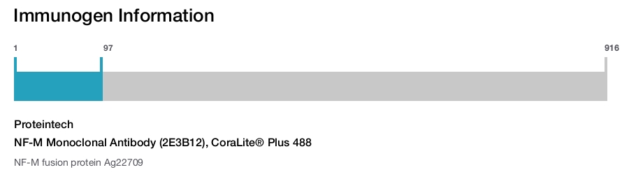 NF-M Monoclonal Antibody (2E3B12), CoraLite&reg; Plus 488