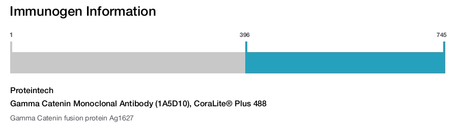 Gamma Catenin Monoclonal Antibody (1A5D10), CoraLite® Plus 488